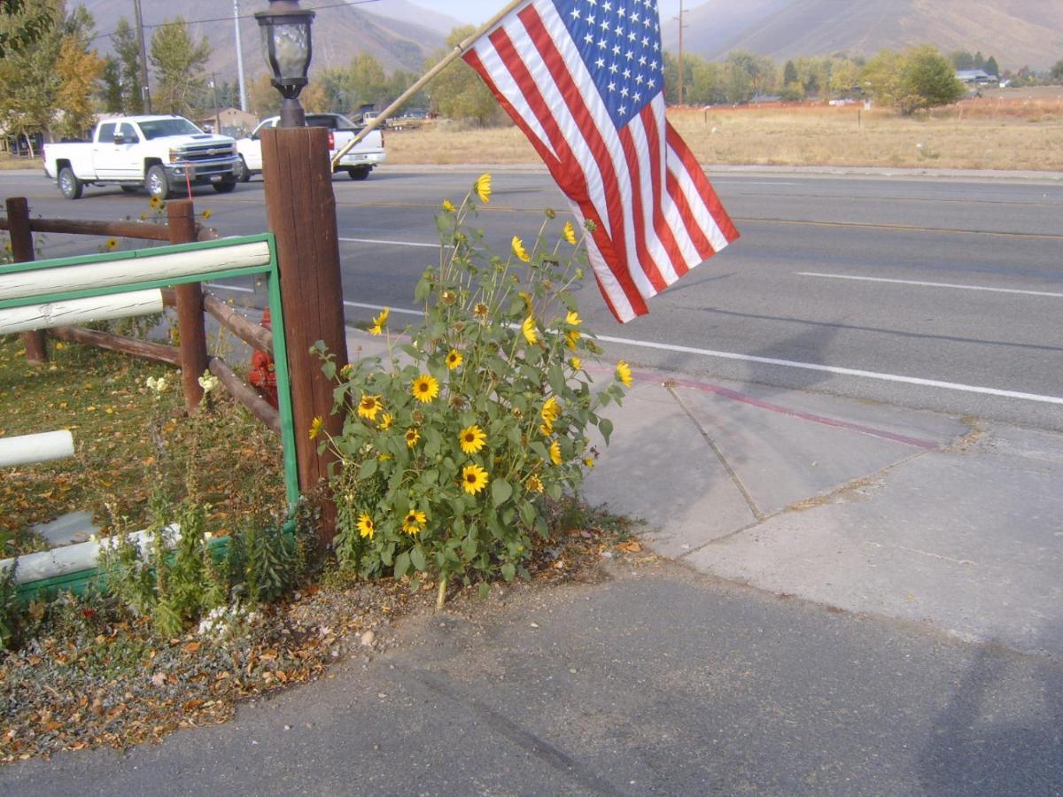 Bellevue High Country Motel מראה חיצוני תמונה